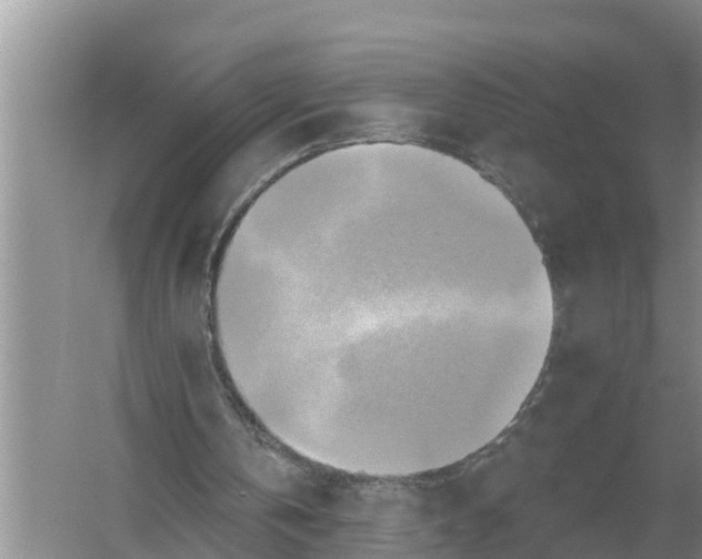 X0000055970146200509162207