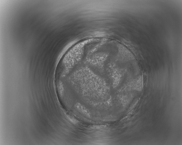 X0000055970147200509162207