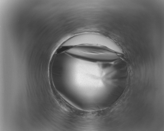 X0000055970148200509162207