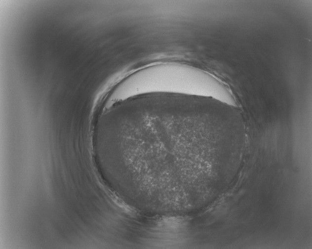 X0000055970149200509162207