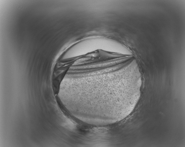 X0000055970150200509162207