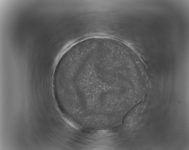 X0000055970151200509162207