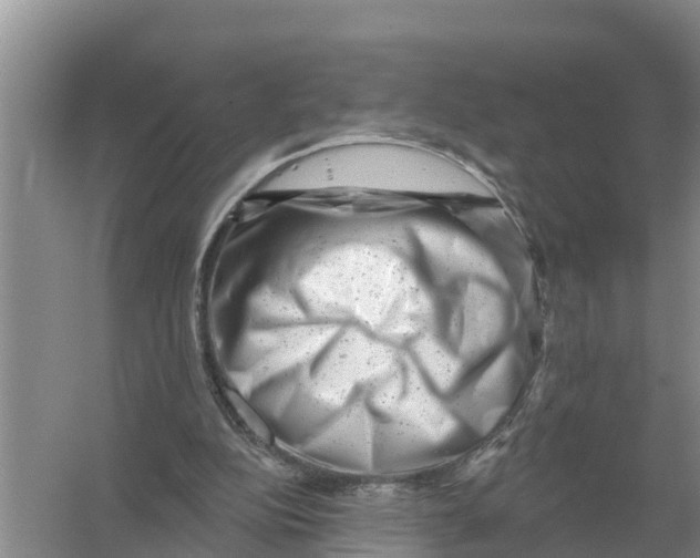 X0000055970152200509162207