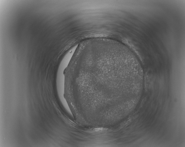 X0000055970153200509162207