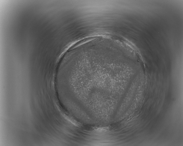 X0000055970155200509162207