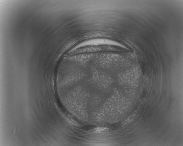 X0000055970158200509162207