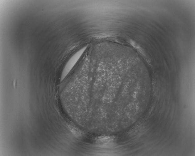 X0000055970161200509162208