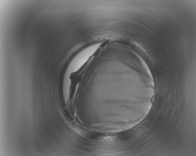 X0000055970163200509162208