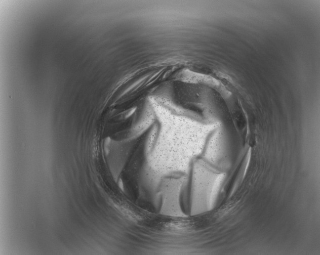 X0000055970164200509162208