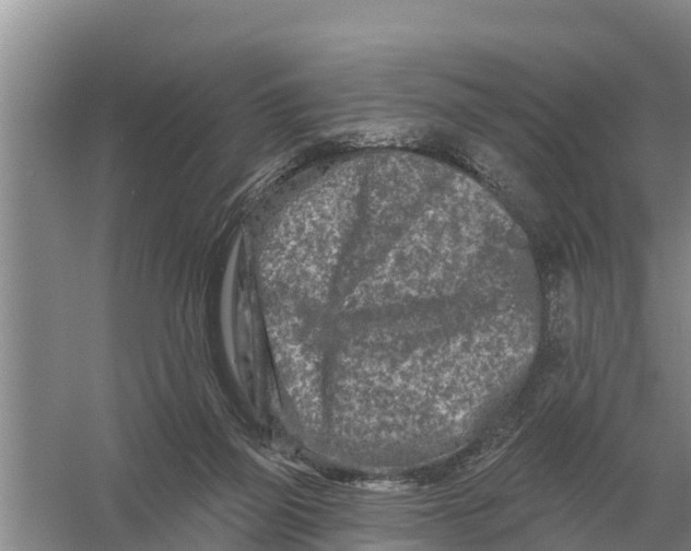 X0000055970165200509162208