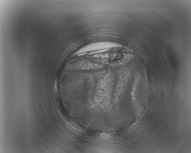 X0000055970166200509162208