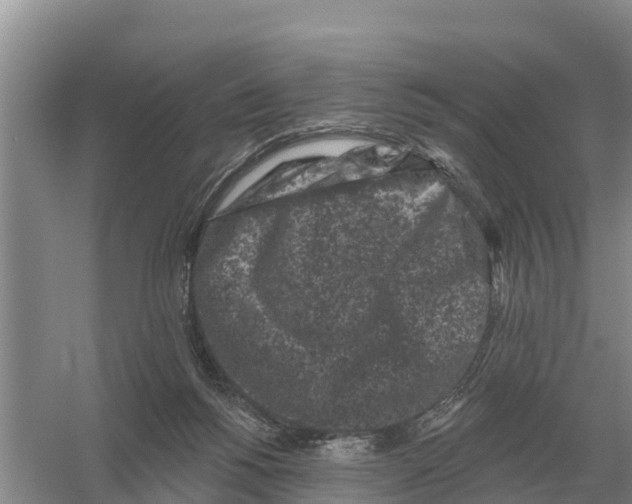 X0000055970168200509162208