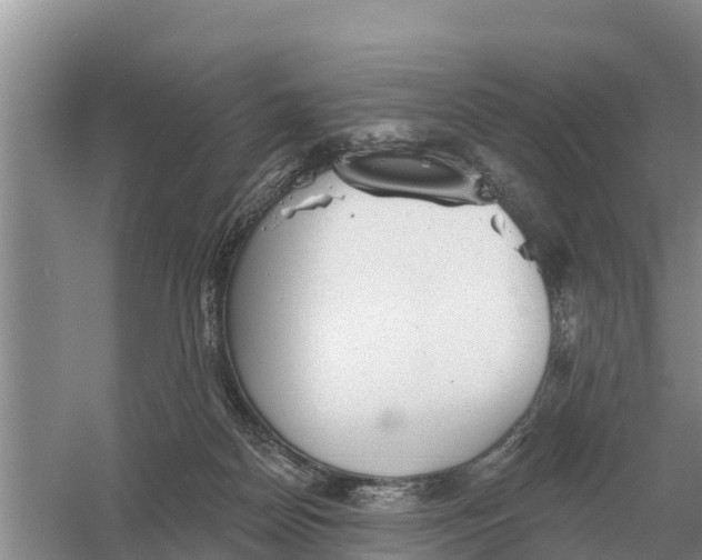 X0000055970170200509162208