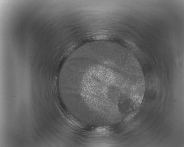 X0000055970171200509162208