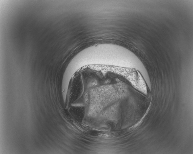 X0000055970174200509162208