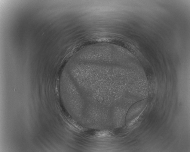 X0000055970175200509162208