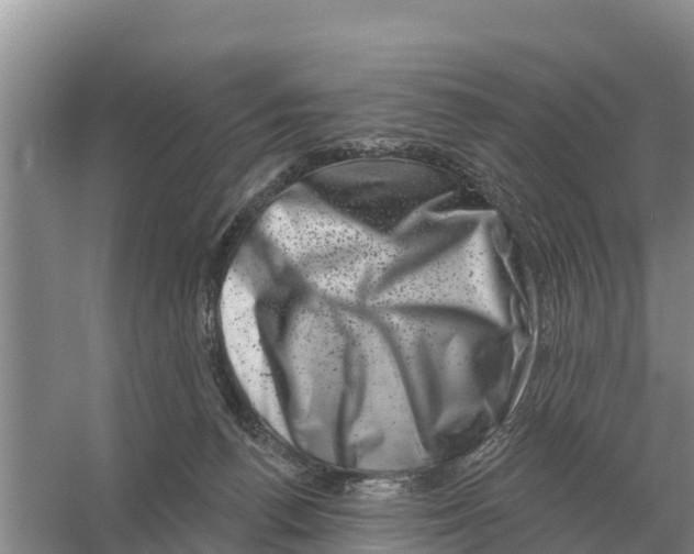 X0000055970176200509162208