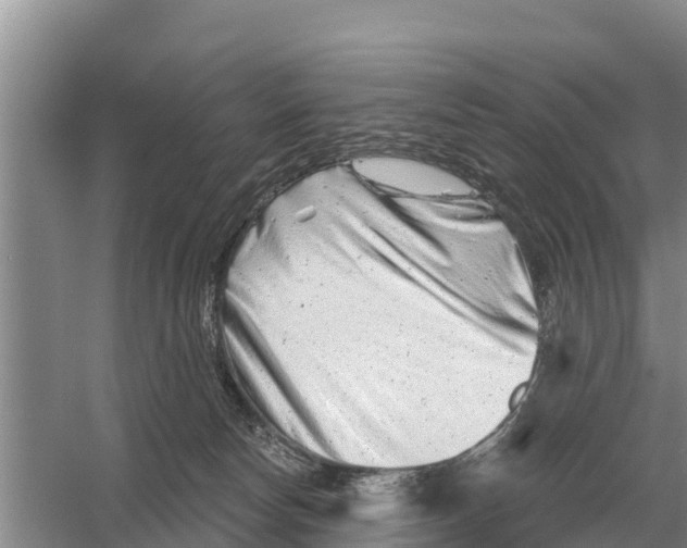 X0000055970178200509162208