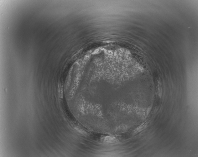 X0000055970180200509162208