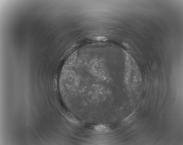 X0000055970183200509162208