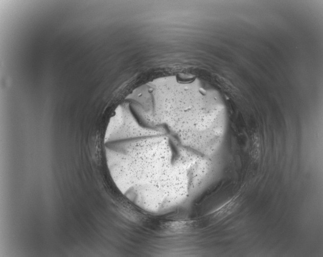 X0000055970184200509162208