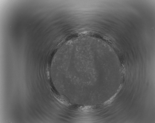 X0000055970186200509162208