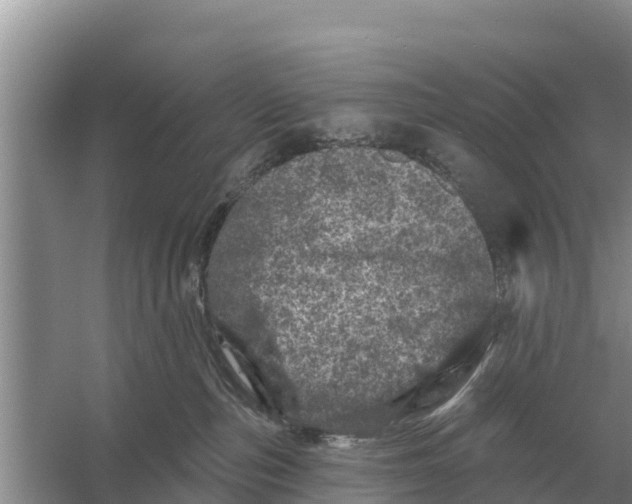 X0000055970187200509162208