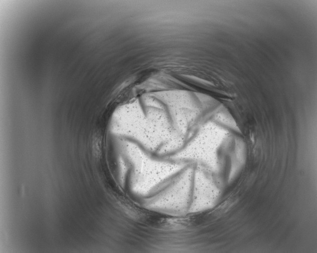 X0000055970188200509162208