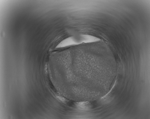 X0000055970191200509162208