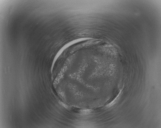 X0000055970192200509162208