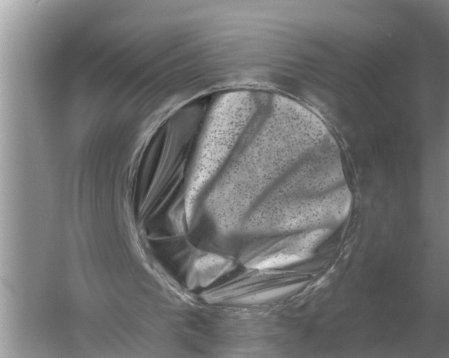 X0000055970193200509162207