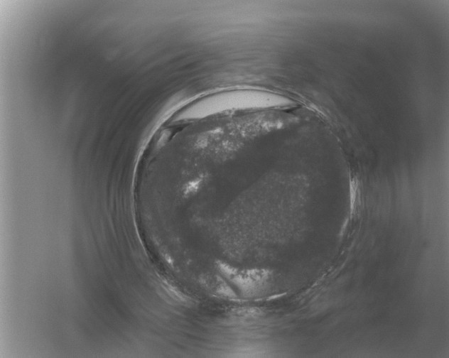 X0000055970195200509162207