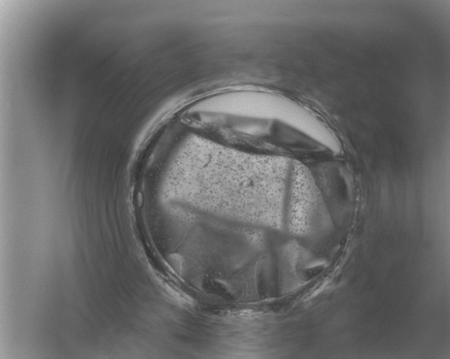 X0000055970197200509162207