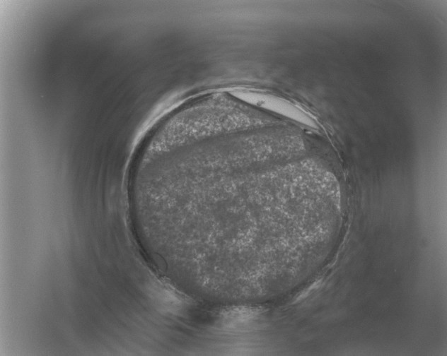 X0000055970198200509162207