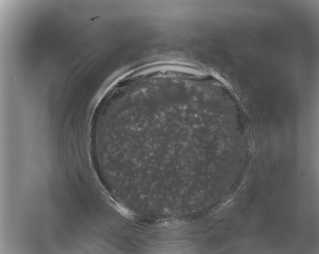 X0000055970199200509162207