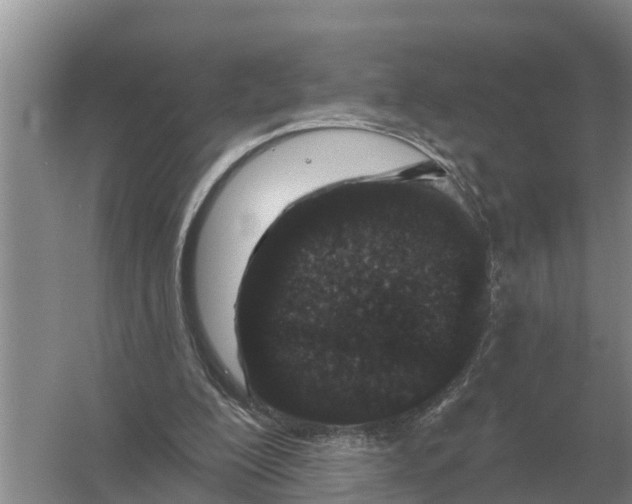 X0000055970200200509162207