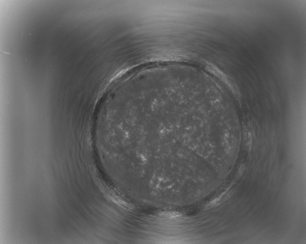 X0000055970203200509162207