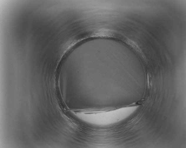 X0000055970204200509162207