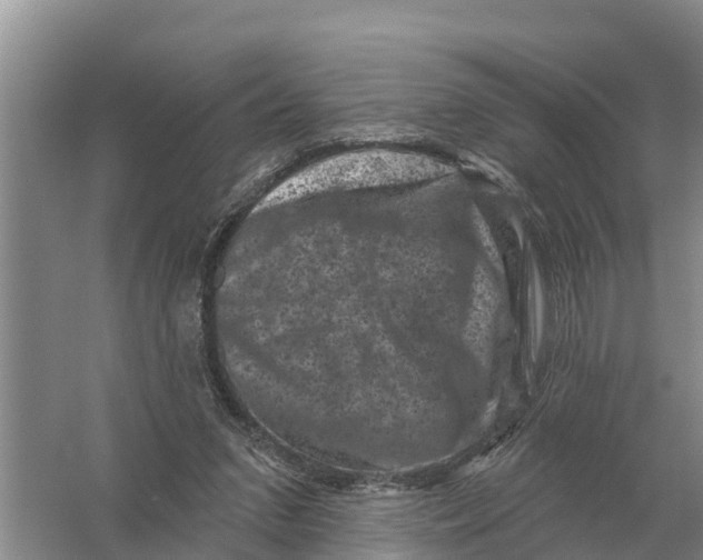 X0000055970207200509162207