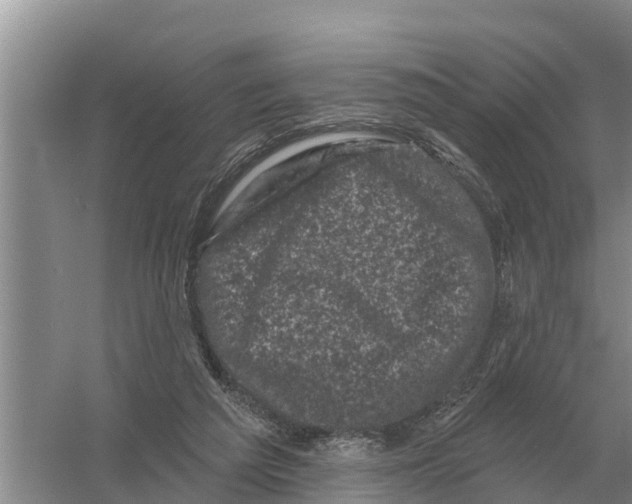 X0000055970209200509162207