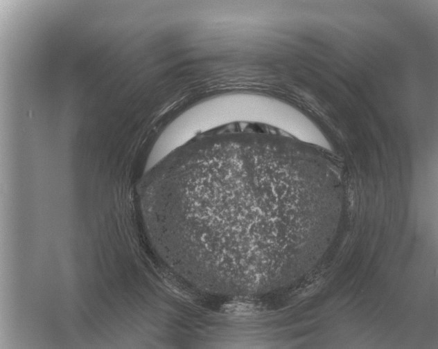 X0000055970211200509162207