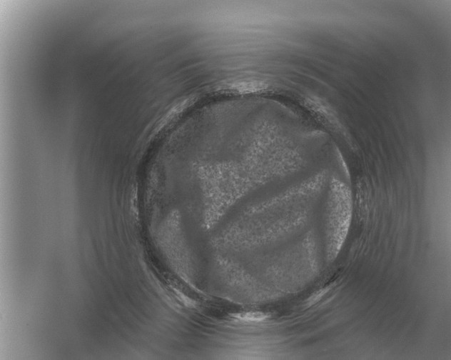 X0000055970212200509162207