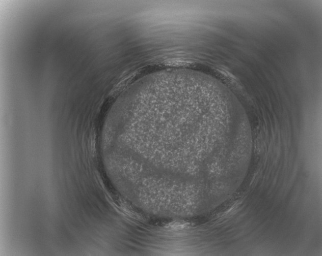 X0000055970213200509162207