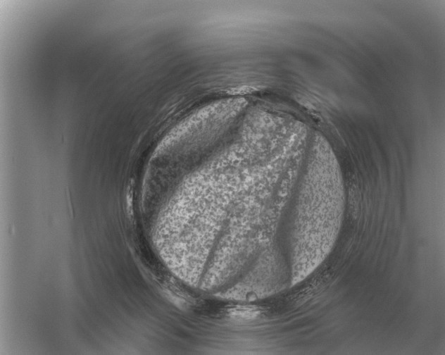 X0000055970214200509162207