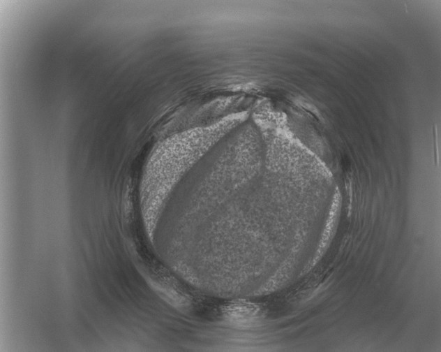 X0000055970215200509162207