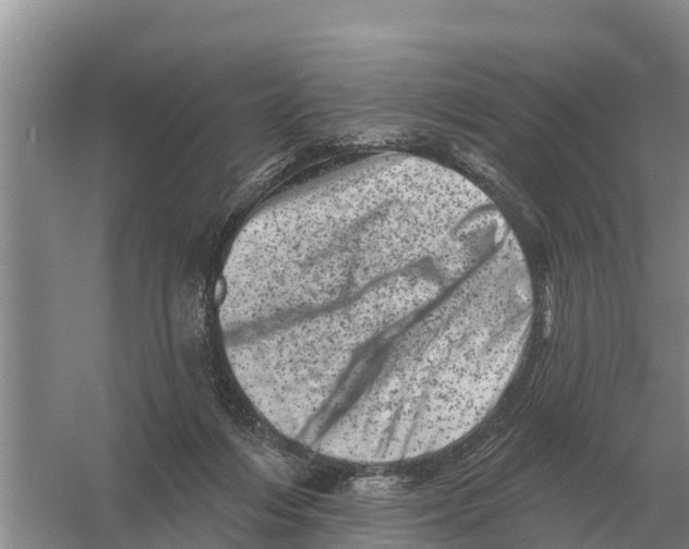 X0000055970216200509162207