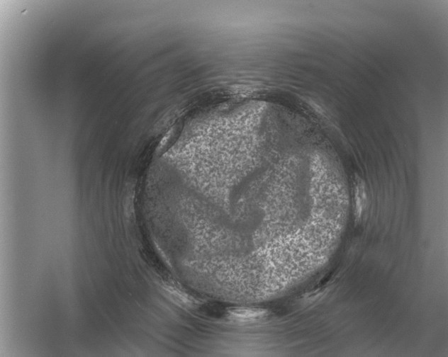 X0000055970221200509162207