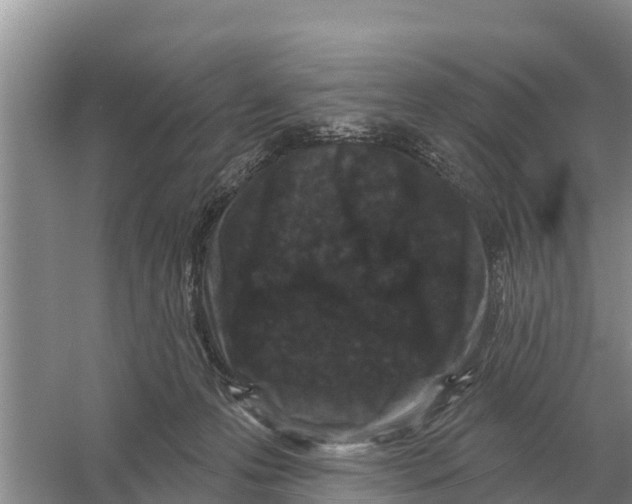 X0000055970223200509162207