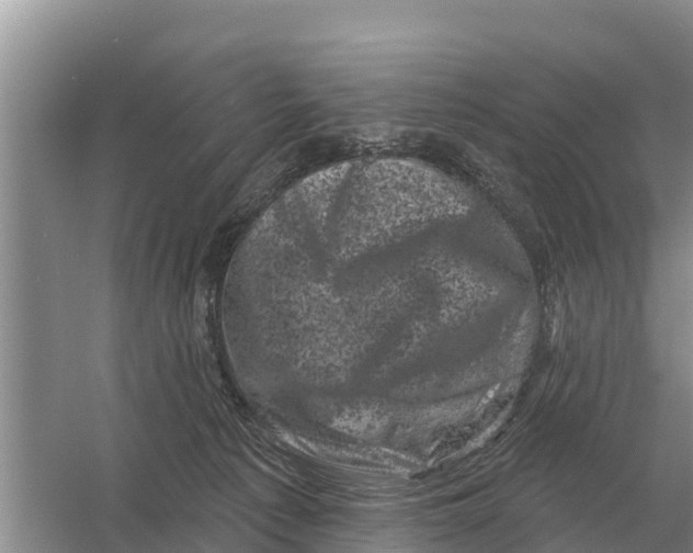 X0000055970225200509162207