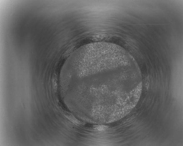 X0000055970226200509162207